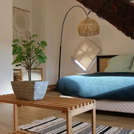 Appartement Le Duplex Des Marchands Sélestat