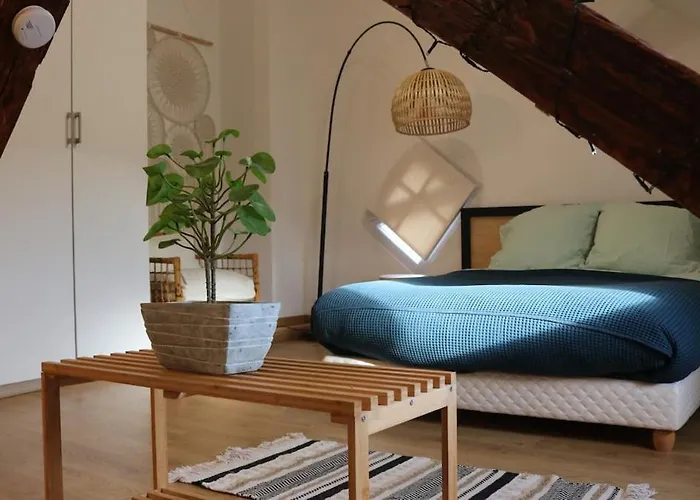 Lägenhet Le Duplex Des Marchands Sélestat